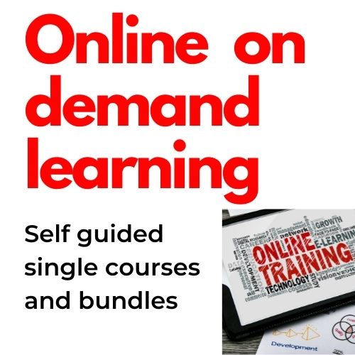 Online on demand learning
